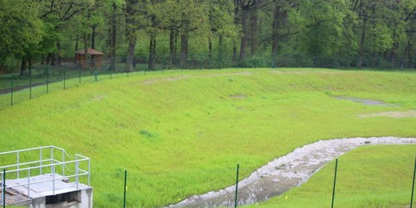 Stormwater Management - Bioswale (Czech) Stormwater Management - Bioswale (Czech)