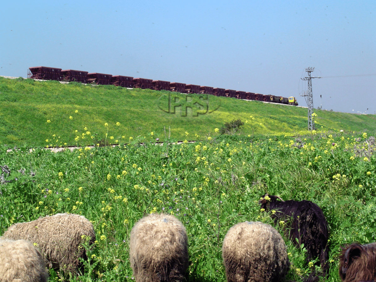 Slope Stabilization (fixed)