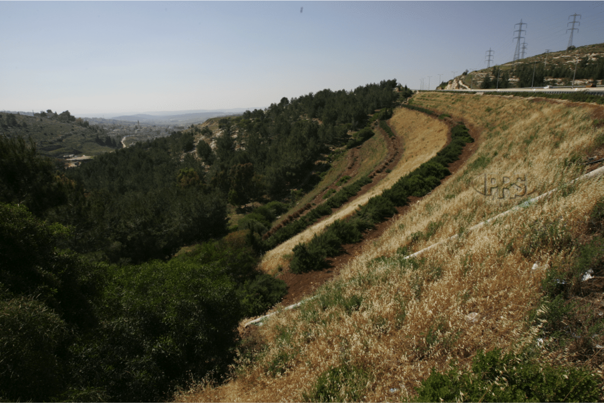 embankment slope (Israel)