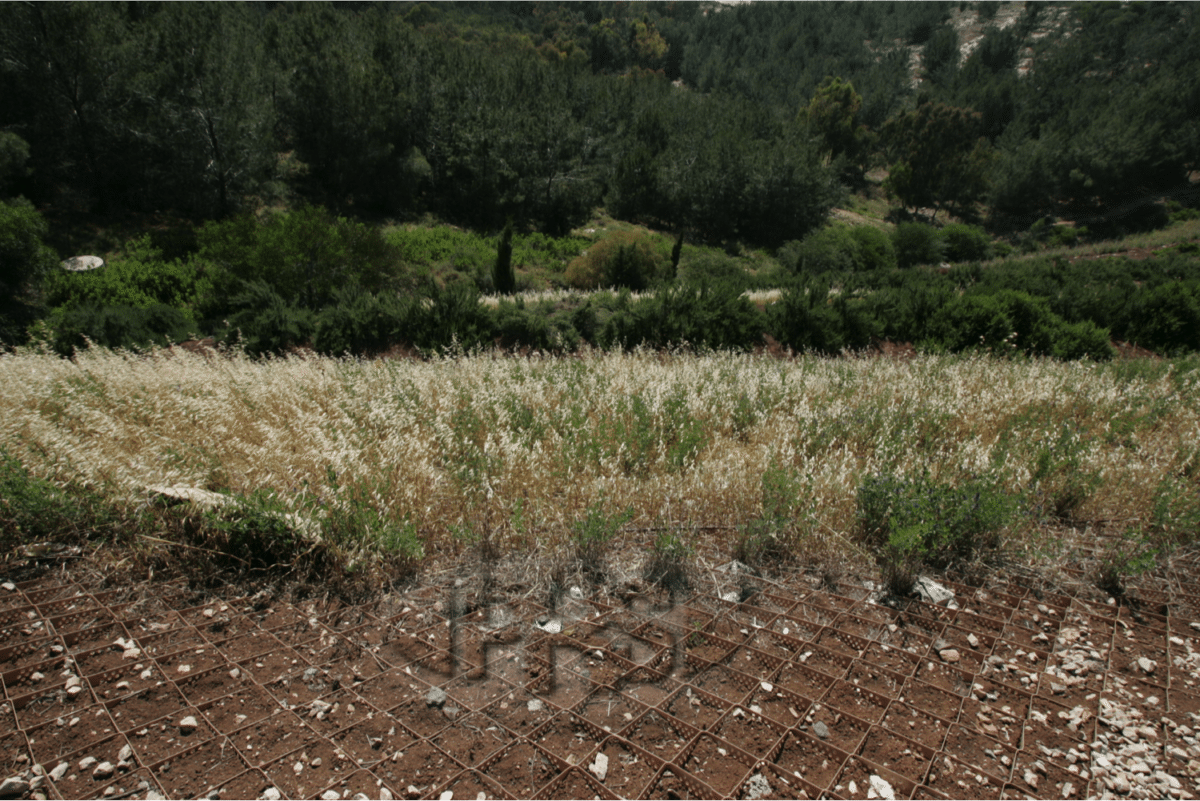 embankment slope (Israel)