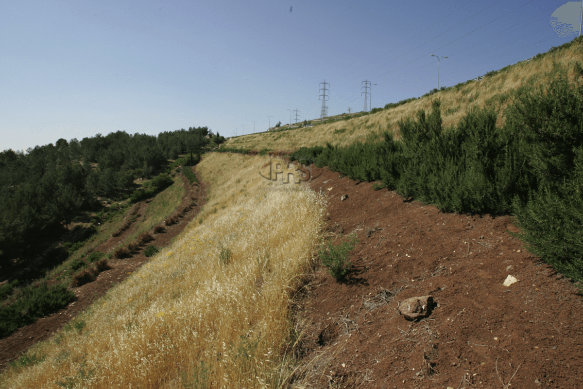 embankment slope (Israel)