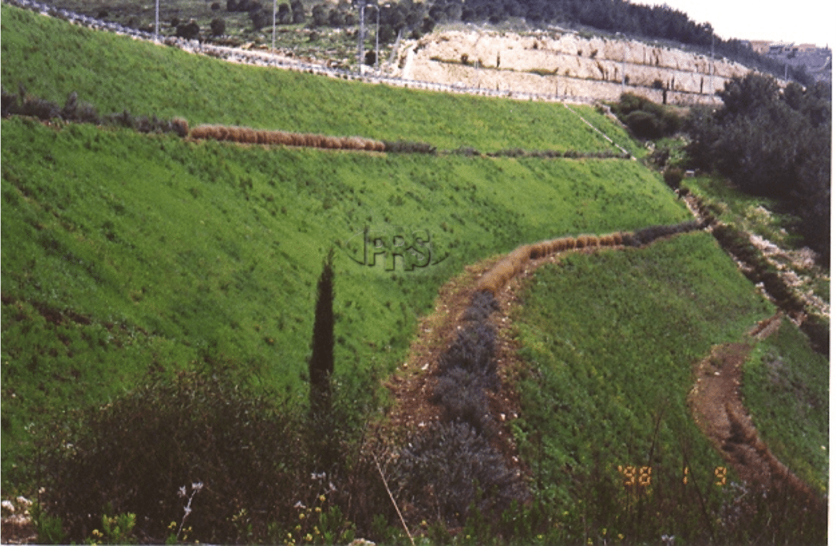 embankment slope (Israel)