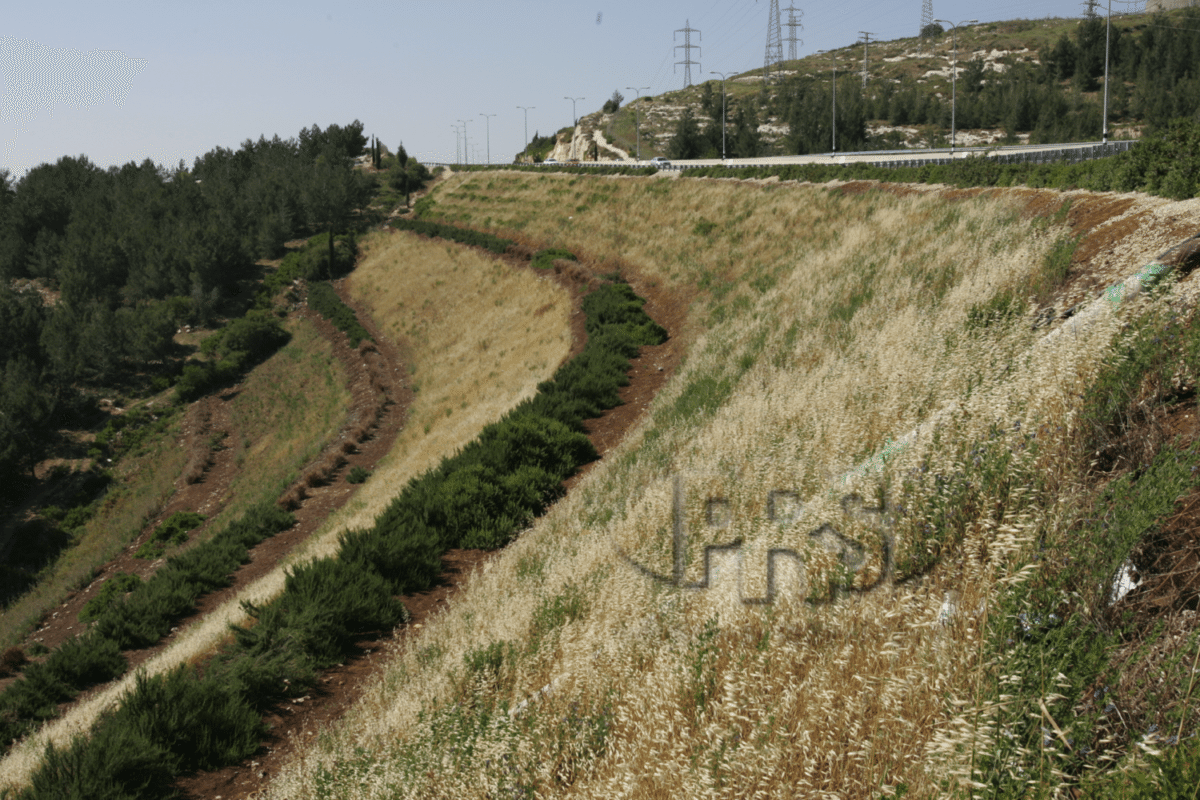 embankment slope (Israel)