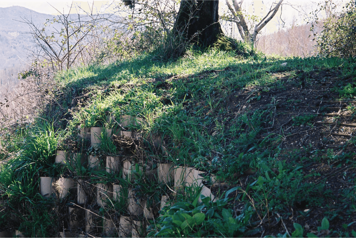 Green Walls (Italy)