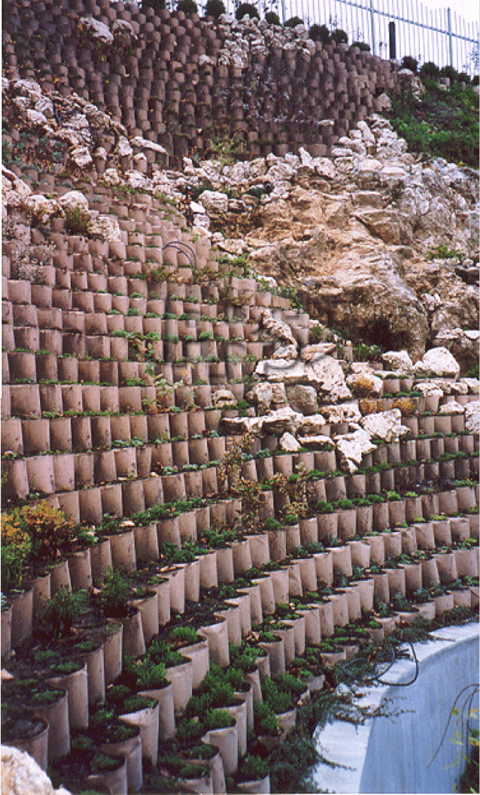 Green Walls (Italy)