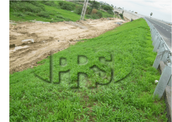 Soil Bio-Engineering for Roadside Slopes